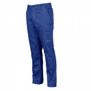 Radne pantalone PAYPER WORKER - boja plava